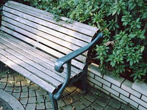 高級ほうきは経済的なお掃除グッズ