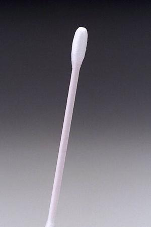 島根で効果的なネズミ駆除と予防策｜安心・信頼の専門サービス徹底解説