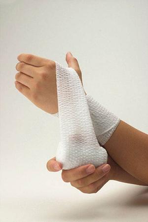 2025年最新！福岡の害獣駆除対策完全ガイド【効果的な方法と費用相場】