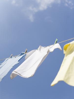 年賀状印刷で生産性が上がった例