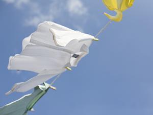 企業向けのノベルティグッズは専門店で