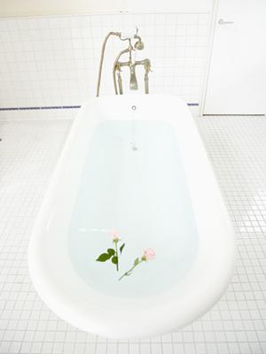 結婚指輪・婚約指輪の選び方で金素材を探す