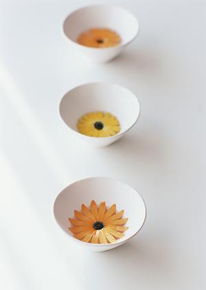 布団クリーニングをお考えの方へ