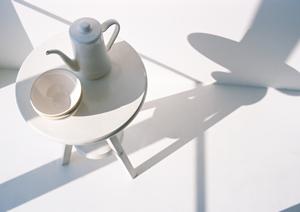 プリザードフラワーを豊富に揃えている店